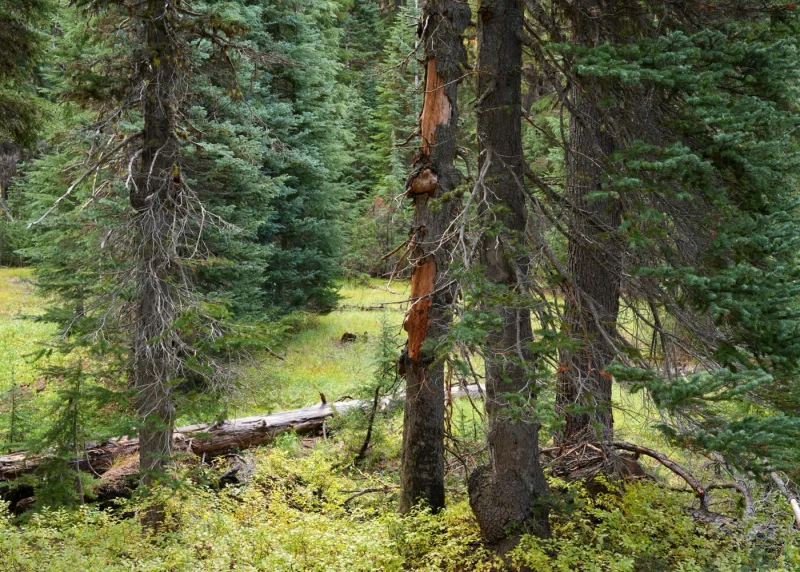 Alpha 7 V — detal zachowany dzięki 16 stopniom DR