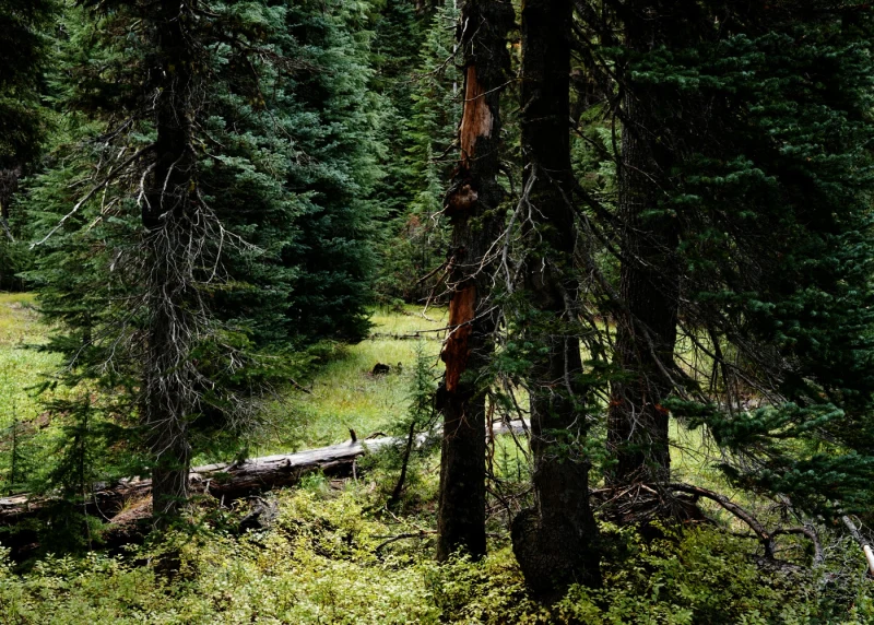 Alpha 7 III — utrata detalu w cieniach