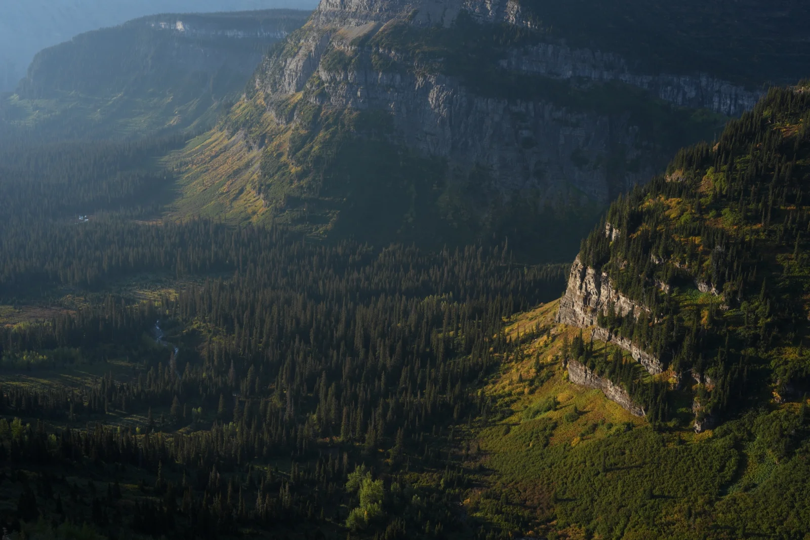 Krajobraz USA — las w pełnej rozdzielczości 33 MP