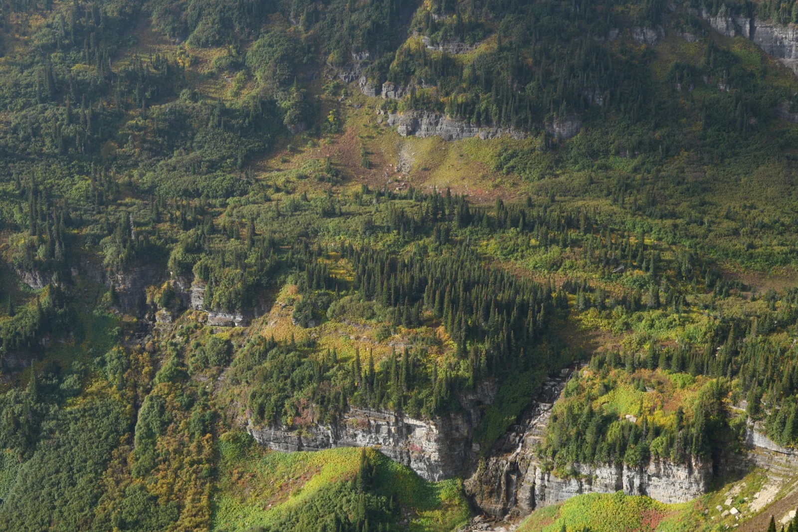 Krajobraz USA — szeroki kadr, panoramiczne ujęcie