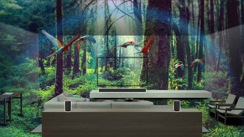 Salon z telewizorem BRAVIA i systemem audio; obraz lasu tropikalnego z latającymi papugami ilustruje immersyjny dźwięk Dolby Atmos i DTS:X.