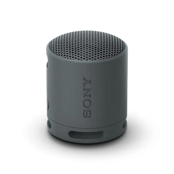 SRS-XB100