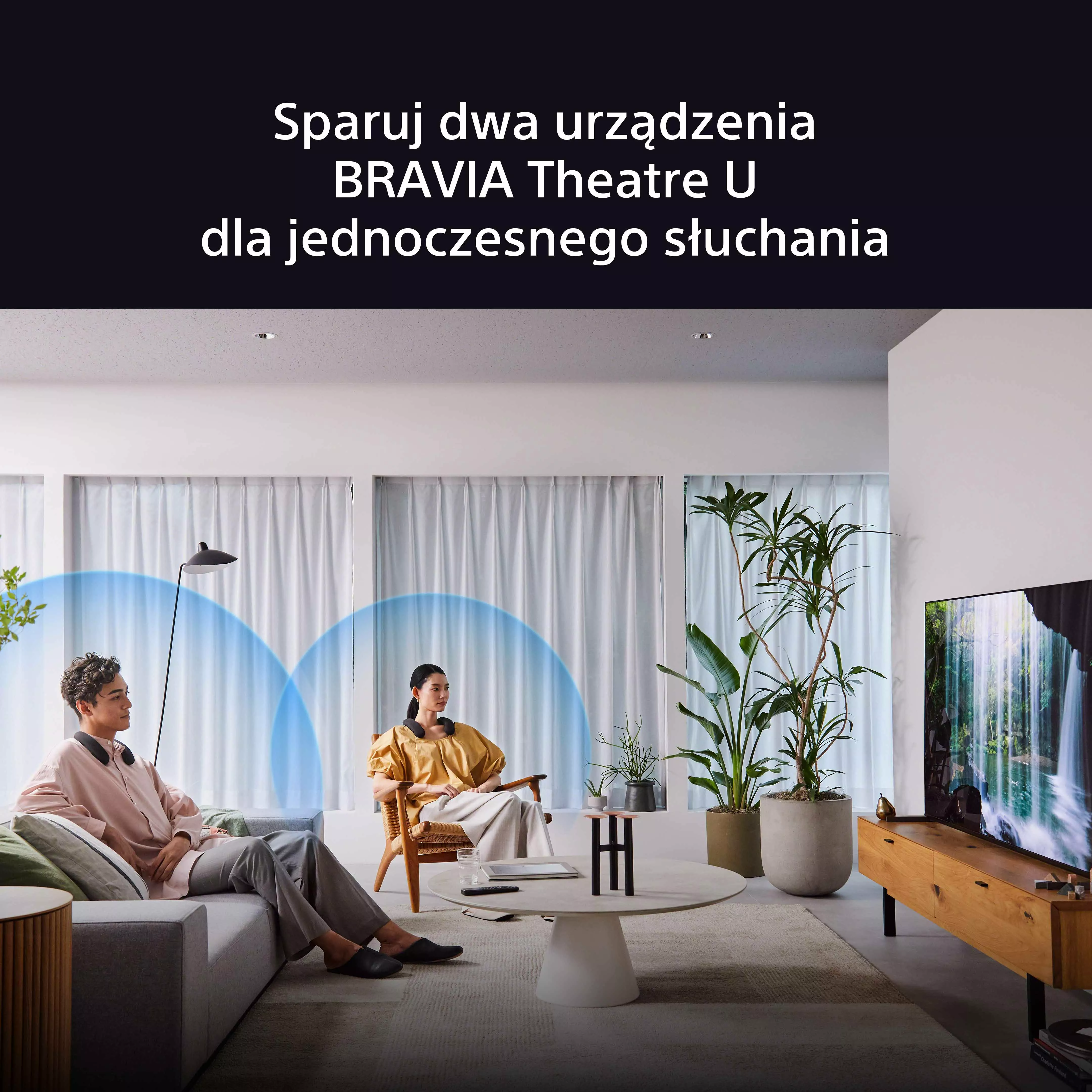 BRAVIA-THEATER-U_10.webp
